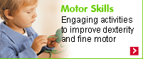Motor Skills